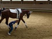 voltitag 2009 _CD1 066